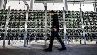 A modern mining farm powered by renewable energy